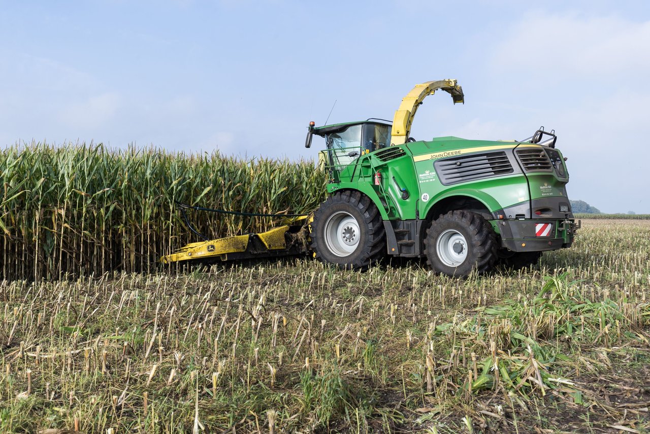 Bild 150 - Maisernte